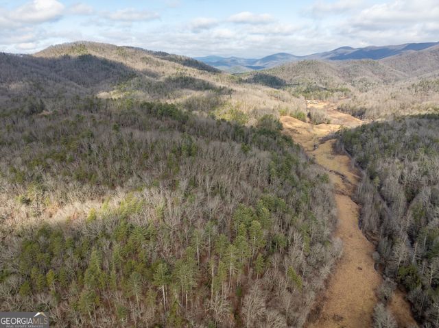 TR 3B Wolf Pen Gap Road, Ellijay, GA 30540
