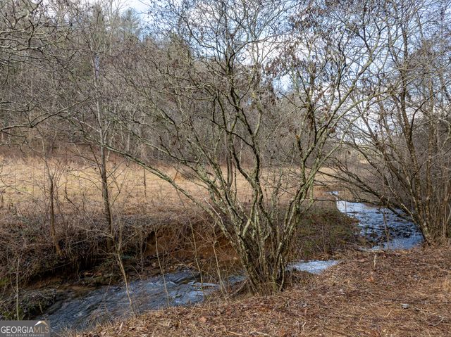 TR 3B Wolf Pen Gap Road, Ellijay, GA 30540