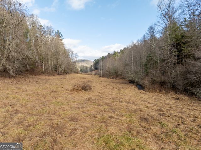 TR 3B Wolf Pen Gap Road, Ellijay, GA 30540
