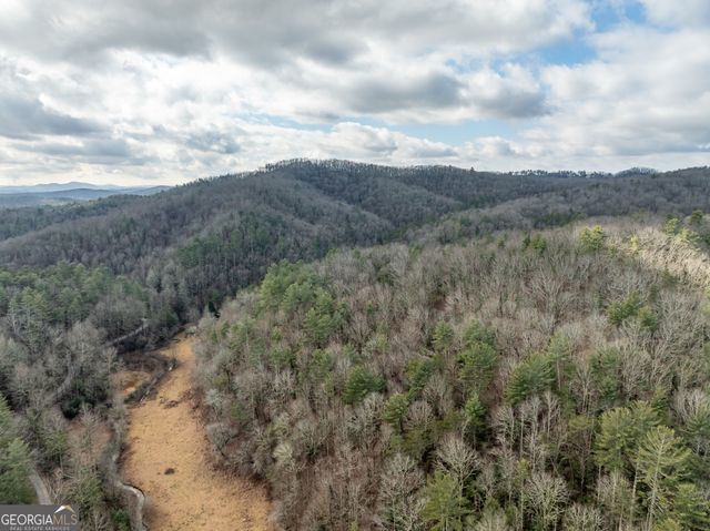 TR 3B Wolf Pen Gap Road, Ellijay, GA 30540