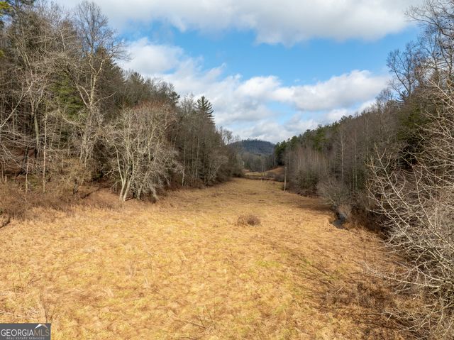 TR 3B Wolf Pen Gap Road, Ellijay, GA 30540