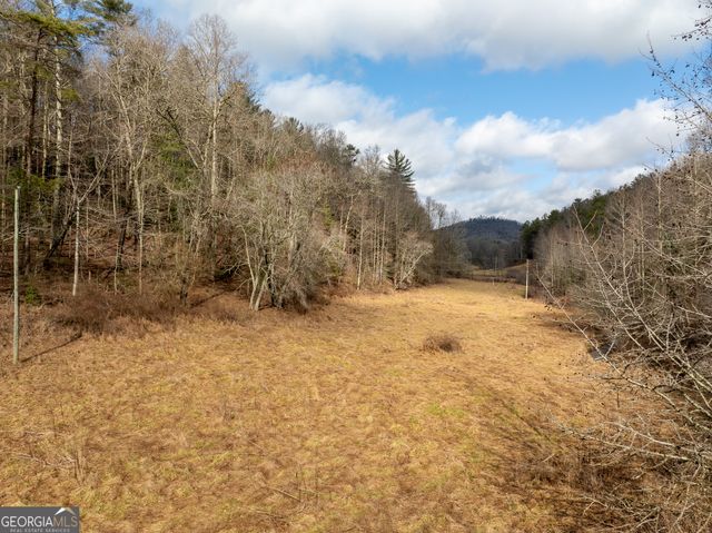 TR 3B Wolf Pen Gap Road, Ellijay, GA 30540