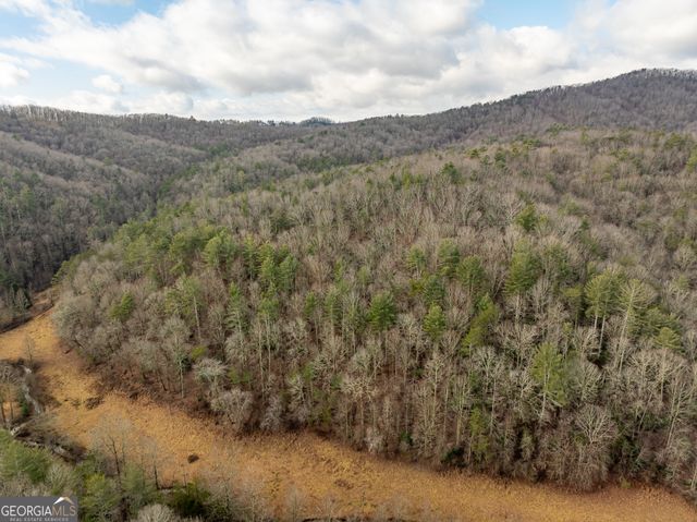 TR 3B Wolf Pen Gap Road, Ellijay, GA 30540