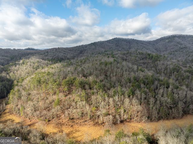 TR 3B Wolf Pen Gap Road, Ellijay, GA 30540