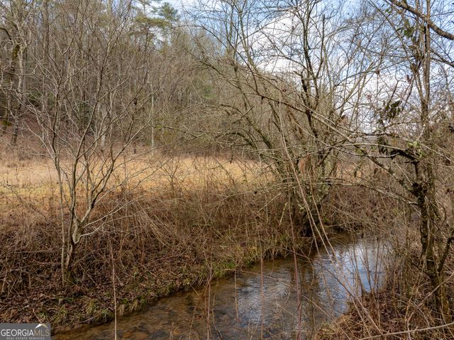 TR 3B Wolf Pen Gap Road, Ellijay, GA 30540