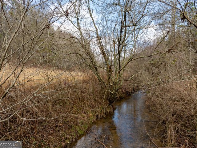 TR 3B Wolf Pen Gap Road, Ellijay, GA 30540