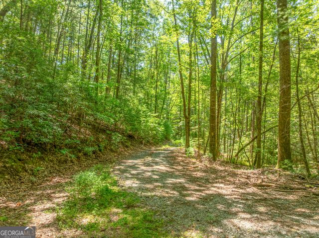 TR 3B Wolf Pen Gap Road, Ellijay, GA 30540
