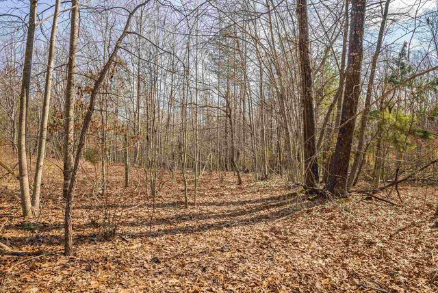 12090 S CONSTITUTION RTE, Scottsville, VA 24590