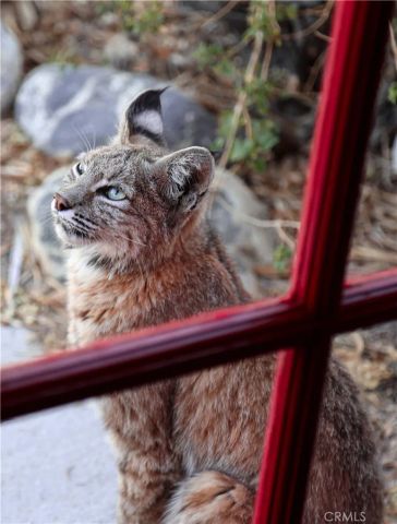 66075 Foothill, Joshua Tree, CA 92252