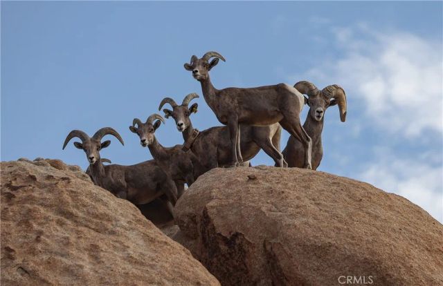 66075 Foothill, Joshua Tree, CA 92252