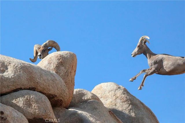 66075 Foothill, Joshua Tree, CA 92252