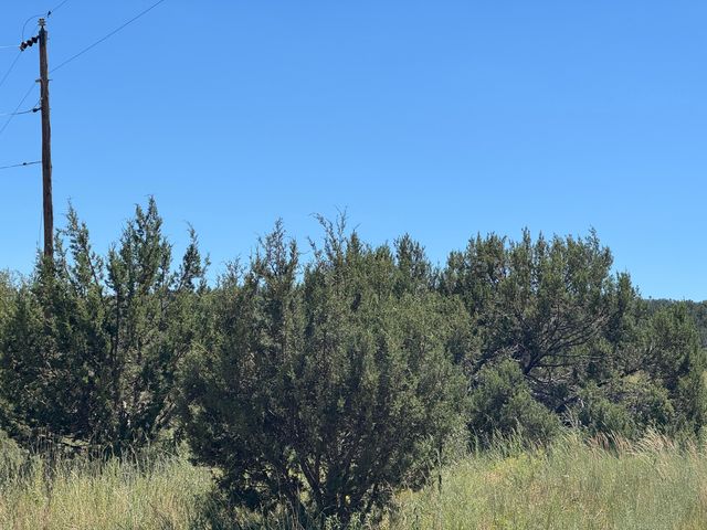 Mountain Valley, Moriarty, NM 87035