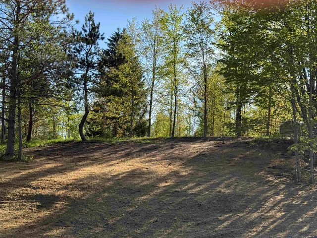 1007 E Solaris Way, Kasson Twp, MI 49664