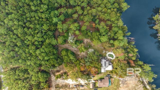 33577 BROWNS LANDING RD Extension, Seminole, AL 36574