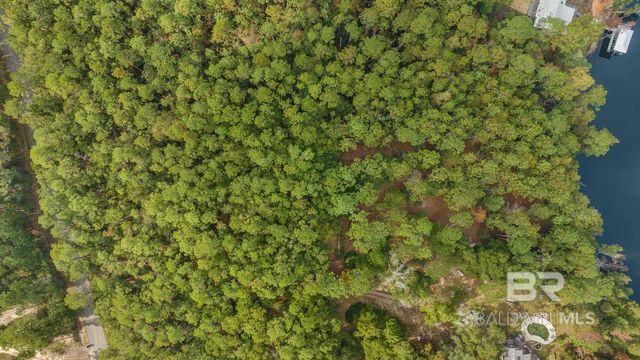 33577 BROWNS LANDING RD Extension, Seminole, AL 36574