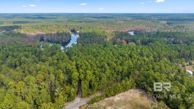 33577 BROWNS LANDING RD Extension, Seminole, AL 36574