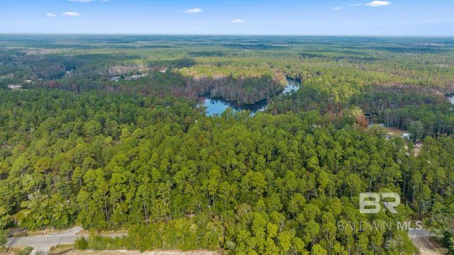 33577 BROWNS LANDING RD Extension, Seminole, AL 36574