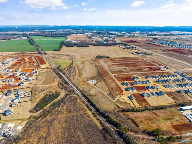 11.93 Acres Old Highway 20, Madison, AL 35756