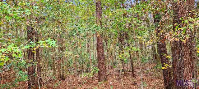 36793 Cryer Rd, Denham Springs, LA 70706