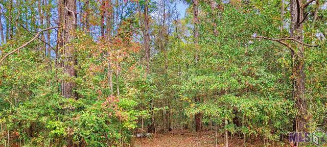 36793 Cryer Rd, Denham Springs, LA 70706