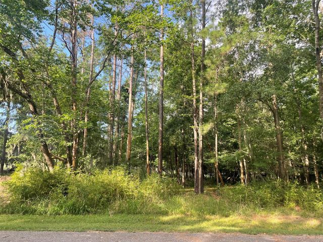 11 Crown Drive, Coldspring, TX 77331