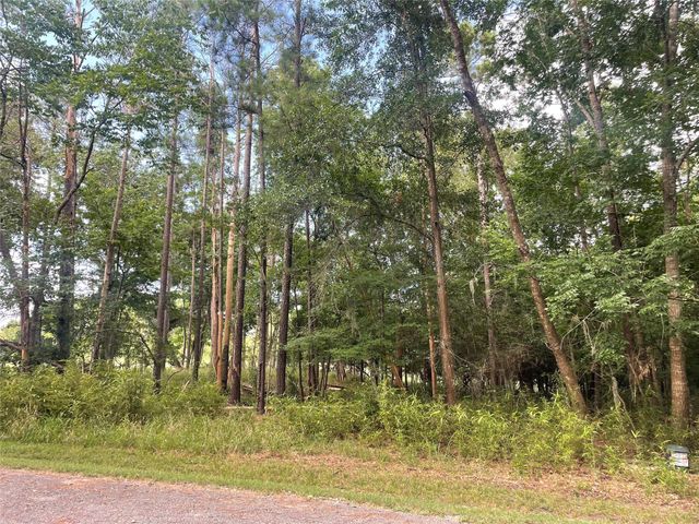 11 Crown Drive, Coldspring, TX 77331
