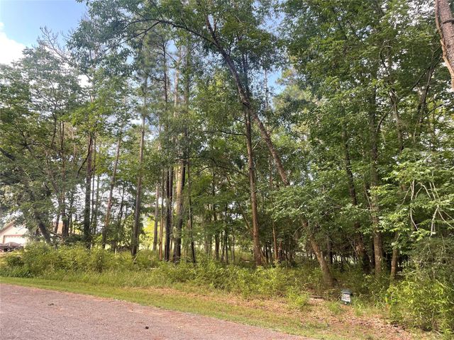 11 Crown Drive, Coldspring, TX 77331