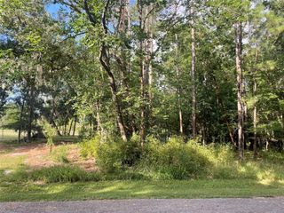 11 Crown Drive, Coldspring, TX 77331