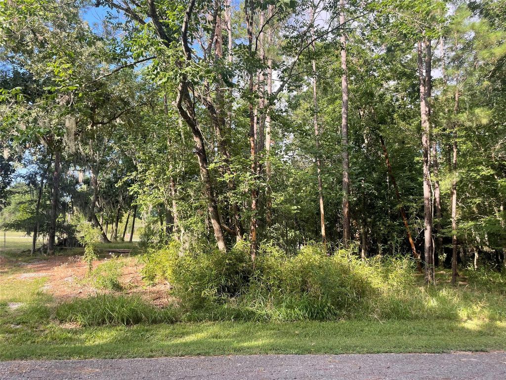 11 Crown Drive, Coldspring, TX 77331