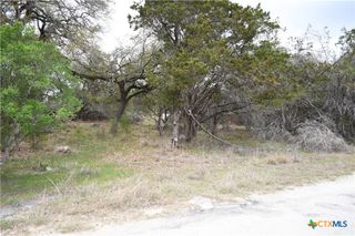 1361 Hidden Valley Drive, Spring Branch, TX 78070