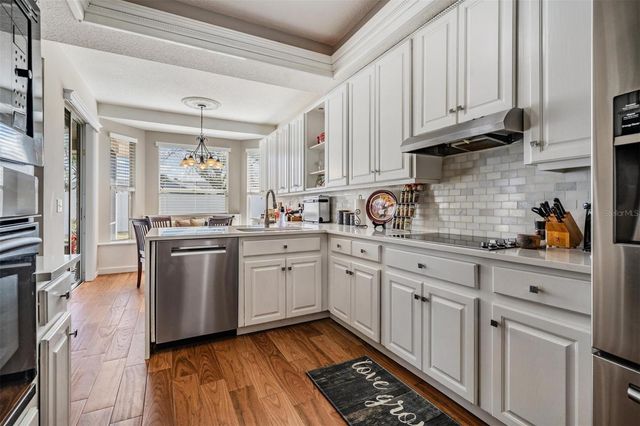 22848 STERLING MANOR LOOP, Lutz, FL 33549