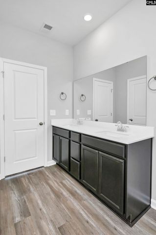 410 Viceroy Path, Gilbert, SC 29054