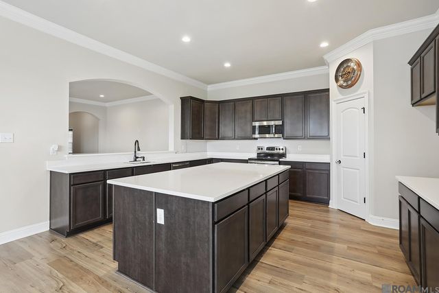 11876 Wildebeest Ridge Dr, Denham Springs, LA 70726