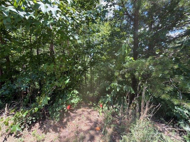 00 Holland Drive 24, Columbus, NC 28722