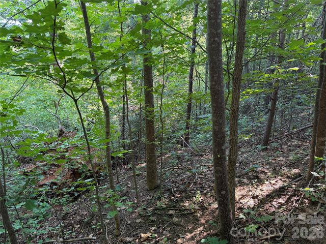 00 Holland Drive 24, Columbus, NC 28722