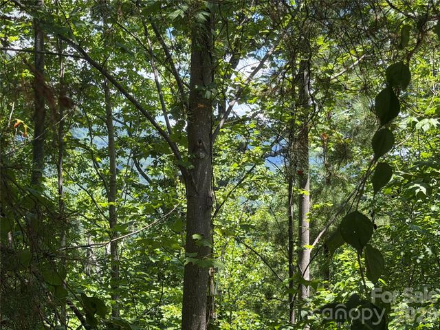 00 Holland Drive 24, Columbus, NC 28722