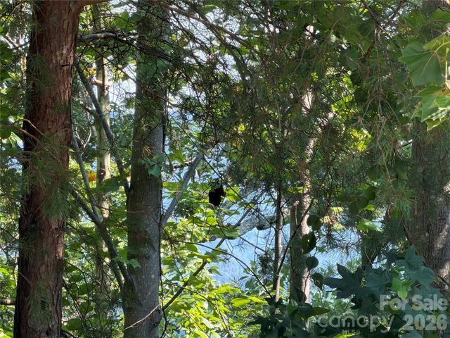 00 Holland Drive 24, Columbus, NC 28722