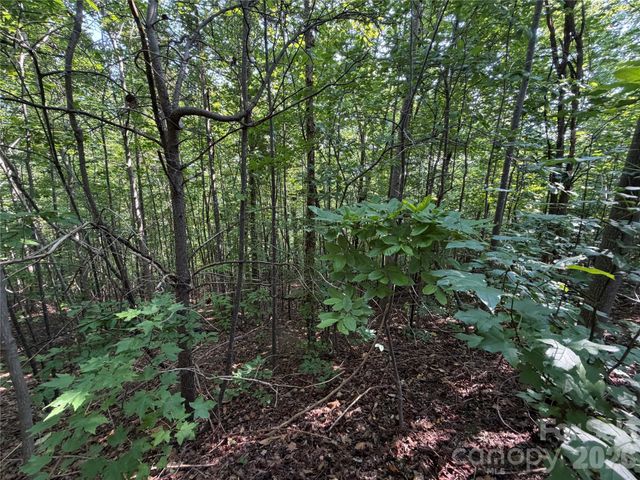 00 Holland Drive 24, Columbus, NC 28722