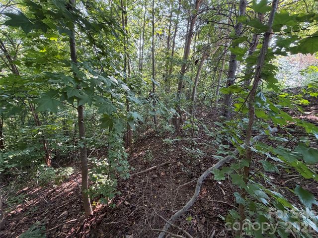 00 Holland Drive 24, Columbus, NC 28722