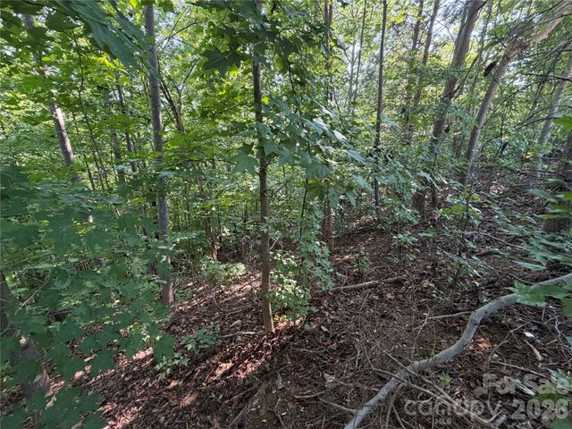 00 Holland Drive 24, Columbus, NC 28722
