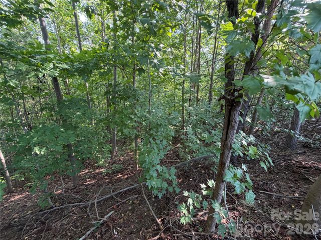 00 Holland Drive 24, Columbus, NC 28722