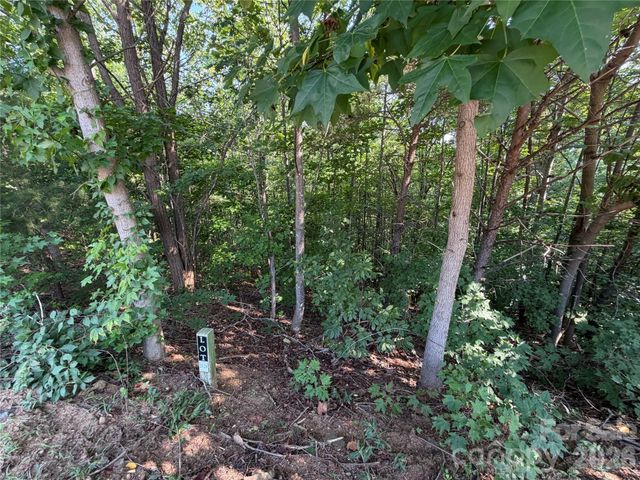 00 Holland Drive 24, Columbus, NC 28722