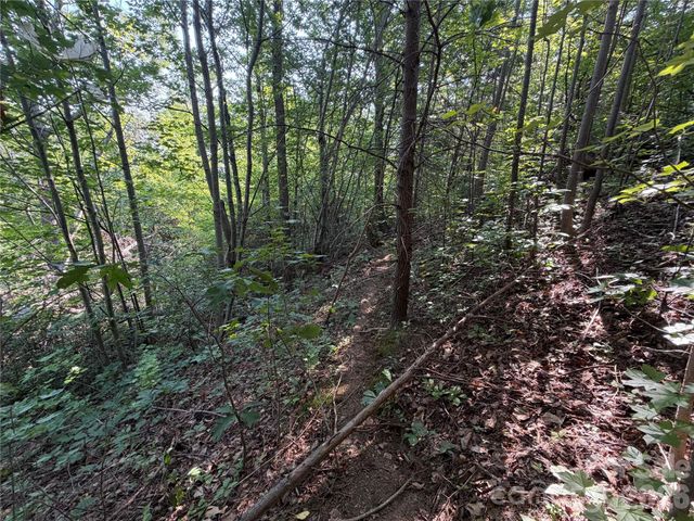 00 Holland Drive 24, Columbus, NC 28722