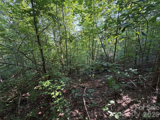 00 Holland Drive 24, Columbus, NC 28722