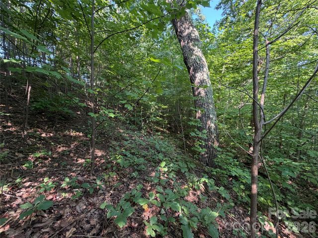 00 Holland Drive 24, Columbus, NC 28722