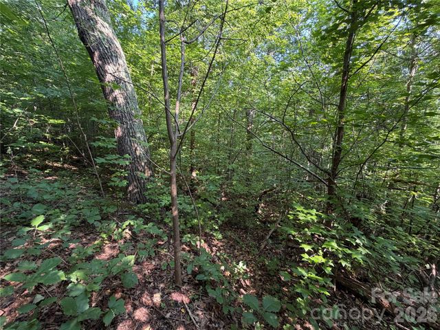 00 Holland Drive 24, Columbus, NC 28722