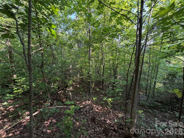 00 Holland Drive 24, Columbus, NC 28722