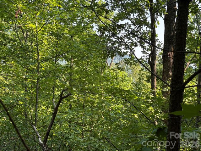 00 Holland Drive 24, Columbus, NC 28722