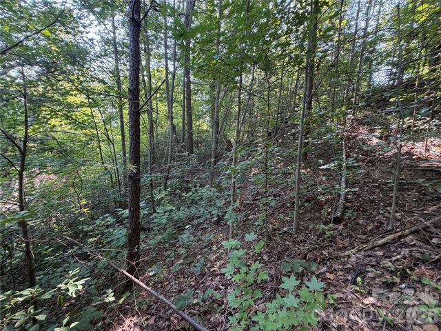 00 Holland Drive 24, Columbus, NC 28722