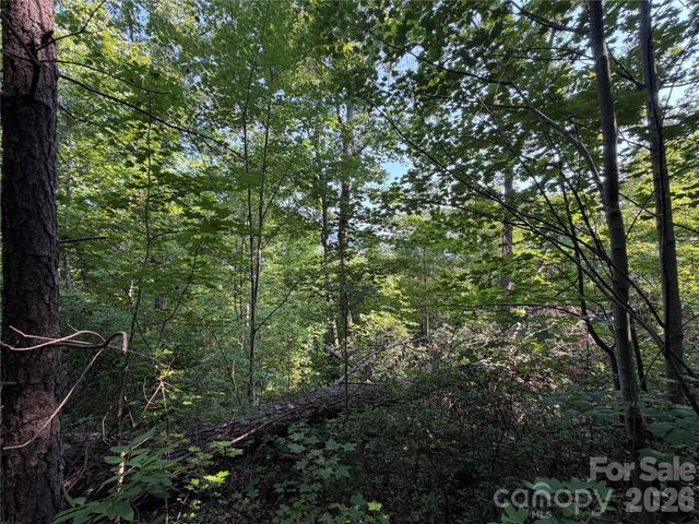 00 Holland Drive 24, Columbus, NC 28722